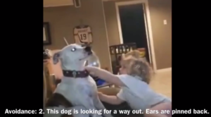 Niebezpieczna sytuacja 2