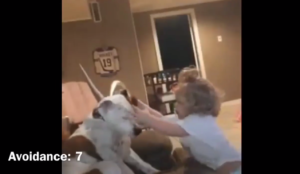 Niebezpieczna sytuacja 3