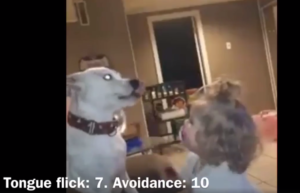 Niebezpieczna sytuacja