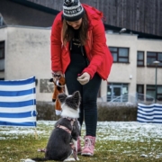 Zajęcia w psim przedszkolu